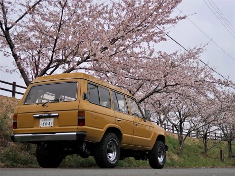 ランドクルーザー60 VX flexdreamデモカーイエロー　バック